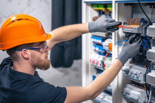 Best Electric Panel Repair  in Whitehouse, OH